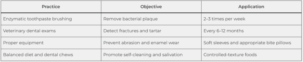 Canine Dentition: Preventive care for dental health in working dogs